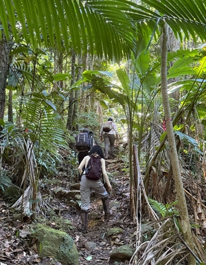 Puerto Rico Fieldwork 3