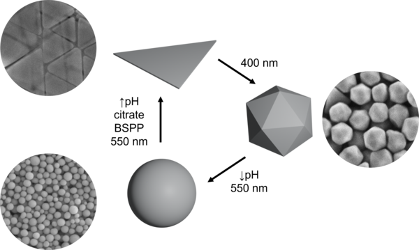 Link to Plasmon-Mediated Reconfiguration of Twin Defect Structures in Silver Nanoparticles
