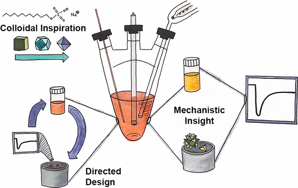 Link to Bridging Colloidal and Electrochemical Nanoparticle Growth with In Situ Electrochemical Measurements