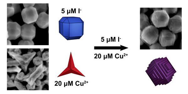 Link to Iodide-Induced Differential Control of Metal Ion Reduction Rates: Synthesis of Terraced Palladium-Copper Nanoparticles with Dilute Bimetallic Surfaces