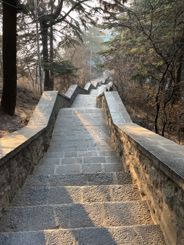 Stairs to Shankaracharya Temple, Srinagar (Kashmir)